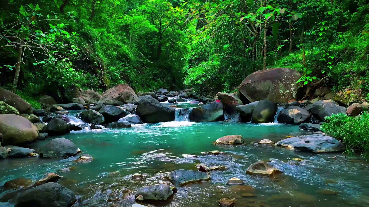 Relaxing River Flowing and Natural Forest Sounds for Sleeping and Mental Clarity