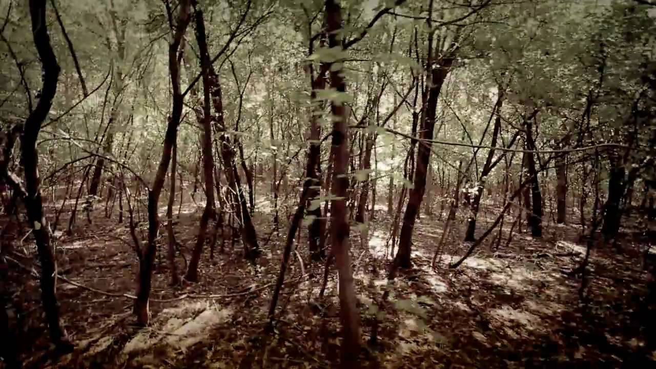 Kowalsky meg a Vega - Új templom épül  - official music video in HD