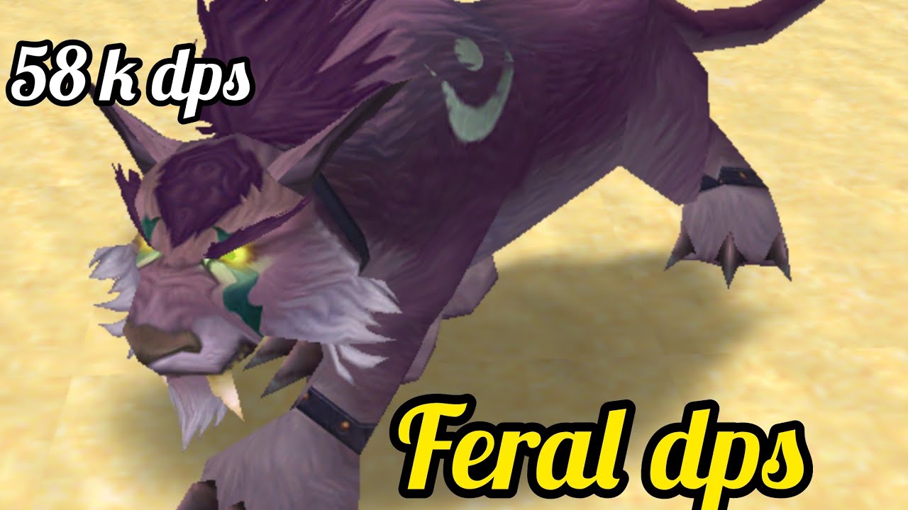آموزش دروید کت فرال دی پی اس، druid feral cat dps pve wotlk💪😁