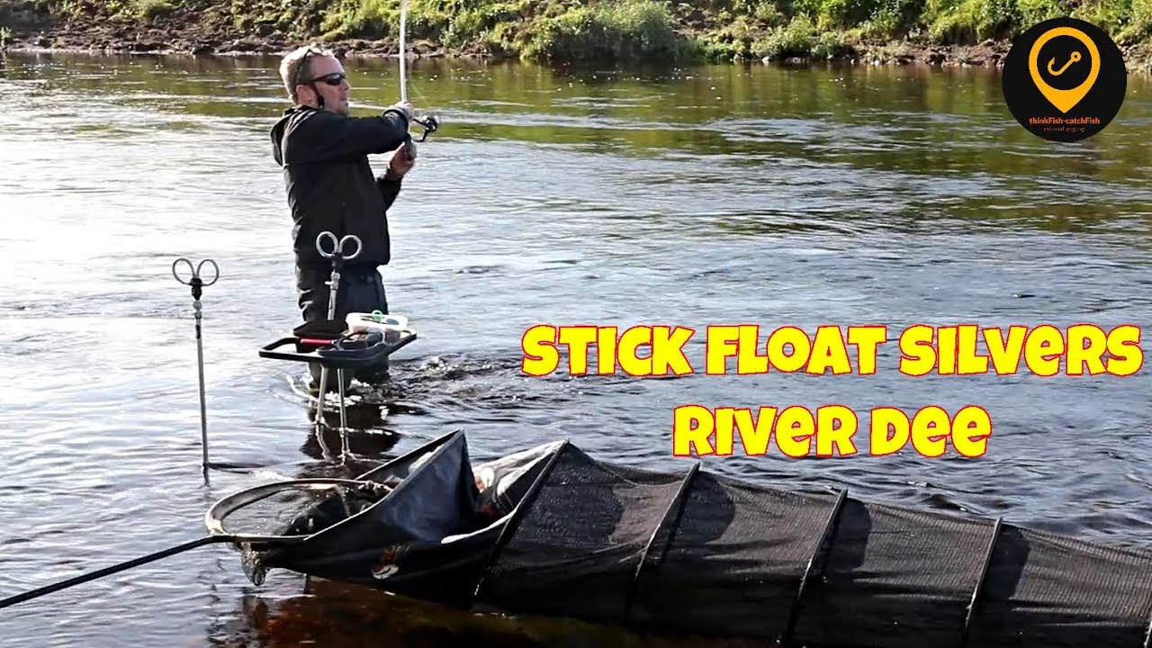 Stick float silvers River Dee