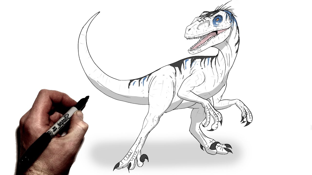 How To Draw Velociraptor | Step BY Step | Jurassic World Rebirth