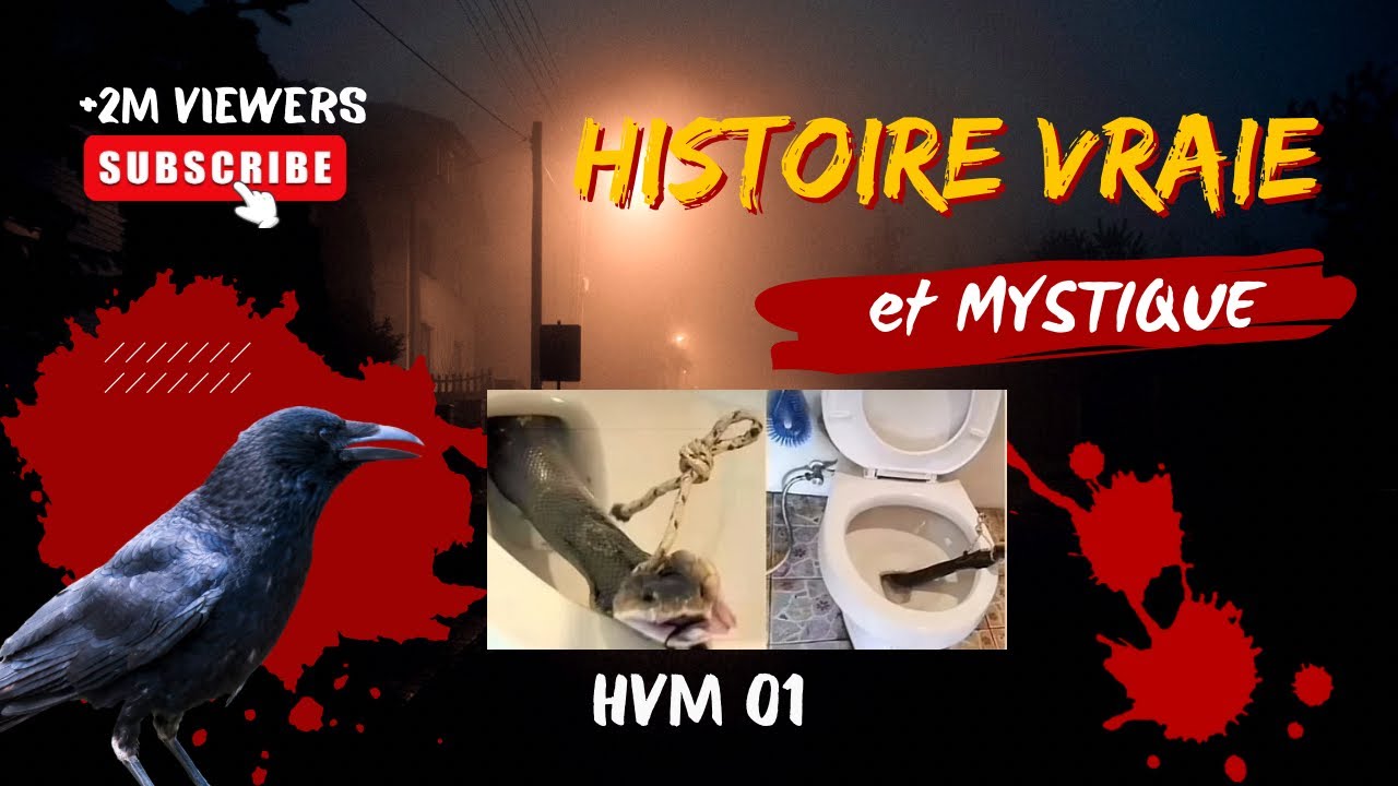 10 HISTOIRES MYSTIQUES ARRIVÉES SUR TIKTOK : HVM 01 PRIER SANS CESSE CAR  LE DEHORS EST RISQUÉ