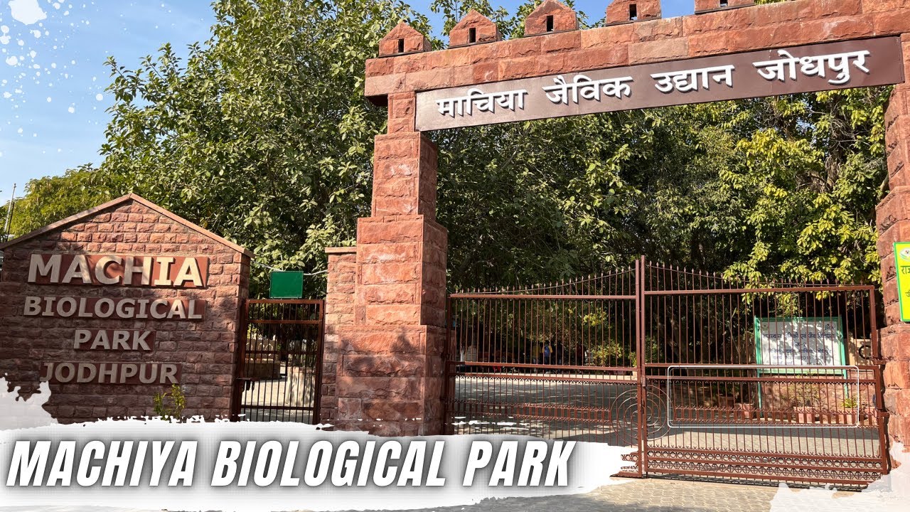 MACHIYA PARK JODHPUR || माचिया बायोलॉजिकल पार्क जोधपुर