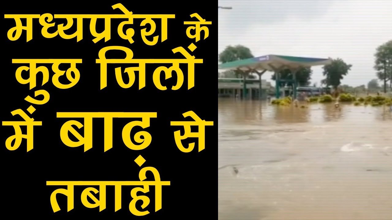 Heavy rain causes water logging in MP's Raisen district