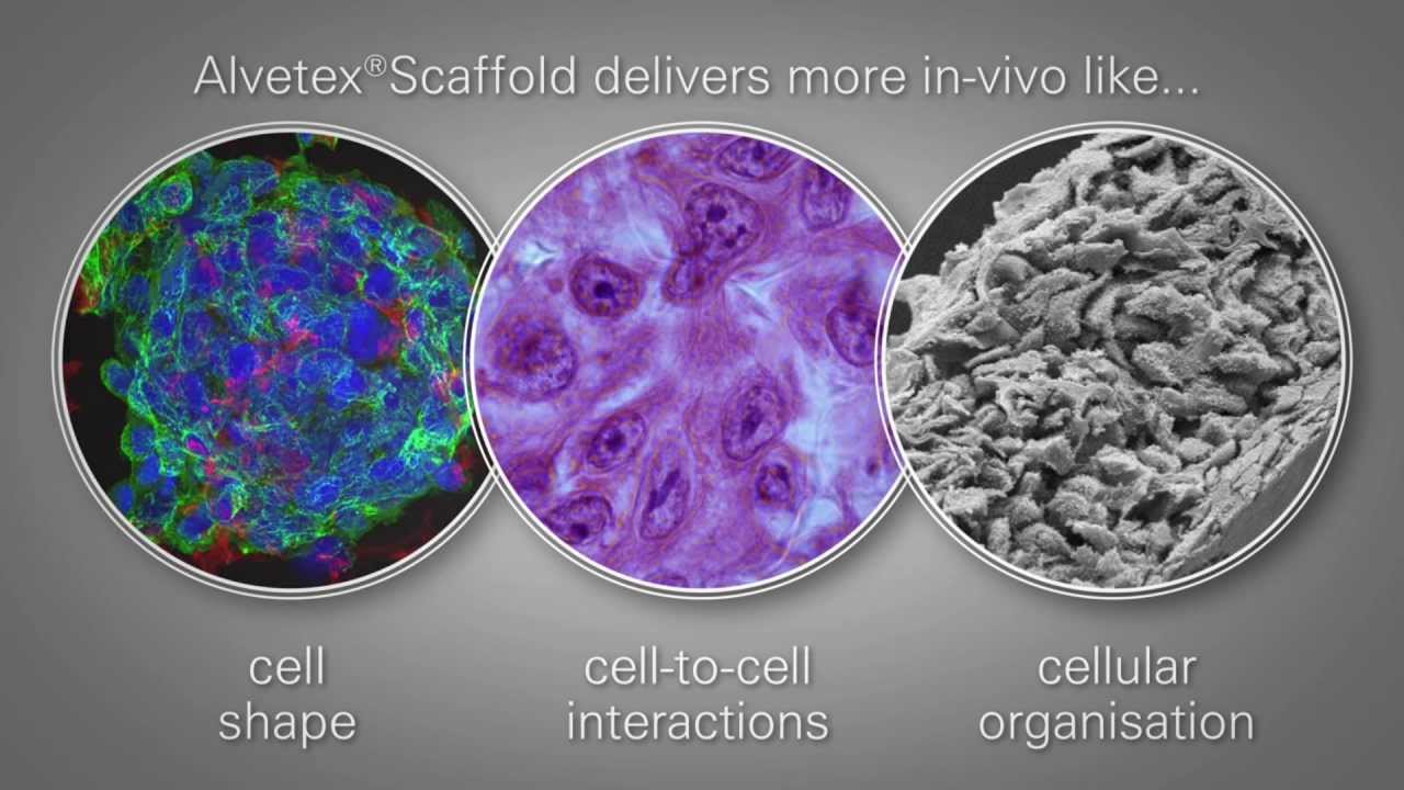 Alvetex&reg;Scaffold Animation video