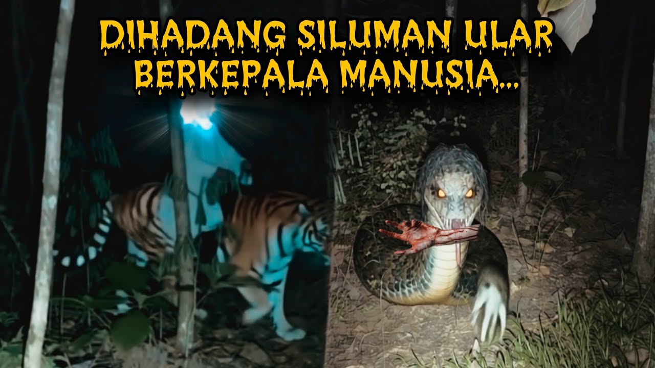 🔴 Pertama kali dalam sejarah‼️Dihadang siluman berkepala orang di tengah hutan ⁉️