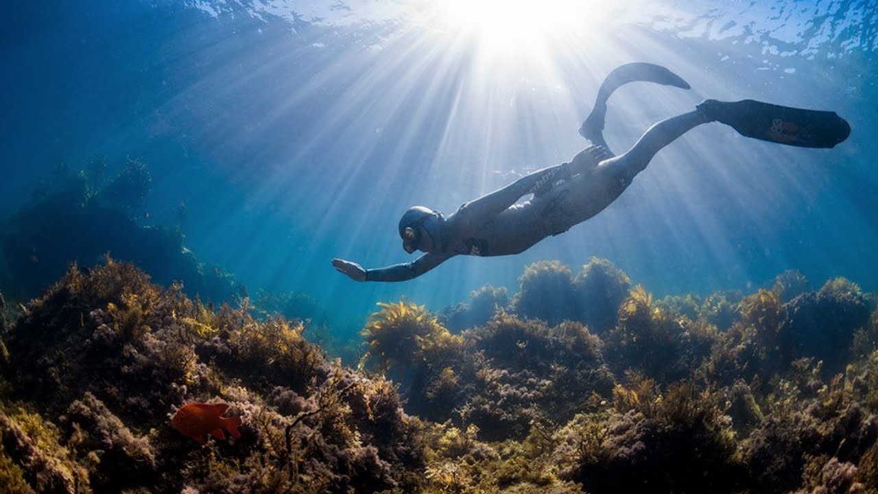 THE MOST BEAUTIFUL FREEDIVING! (HD)