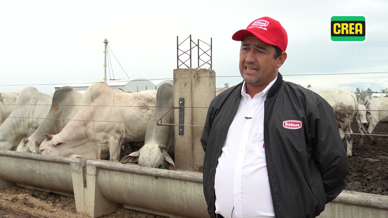 Exportación de Carne con FRIDOSA