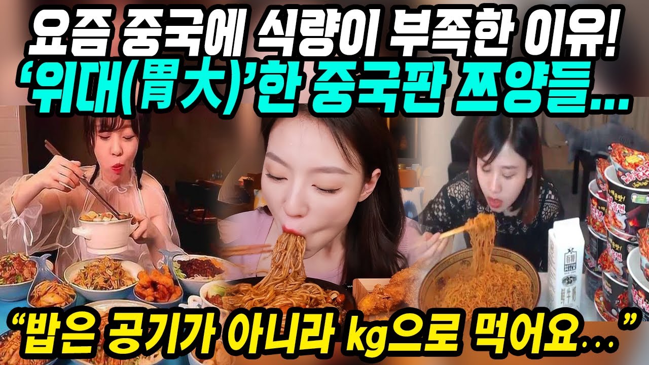 중국반응│요즘 중국에 식량이 부족한 이유│뭐든지 kg으로 먹는 위대(胃大)한 중국판 쯔양들│하지만 중국인들이 한국의 먹방에 반할 수밖에 없는 이유│중국어로[路]