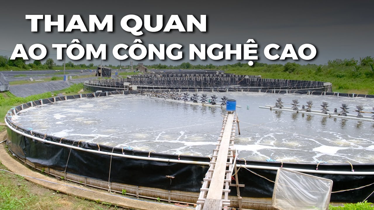 M&ocirc; H&igrave;nh Nu&ocirc;i T&ocirc;m C&ocirc;ng Nghệ Cao - Nu&ocirc;i Tr&ecirc;n Ao Tr&ograve;n Nổi Kết Hợp Ao Bạt Ch&igrave;m - Dễ Vận H&agrave;nh!!!