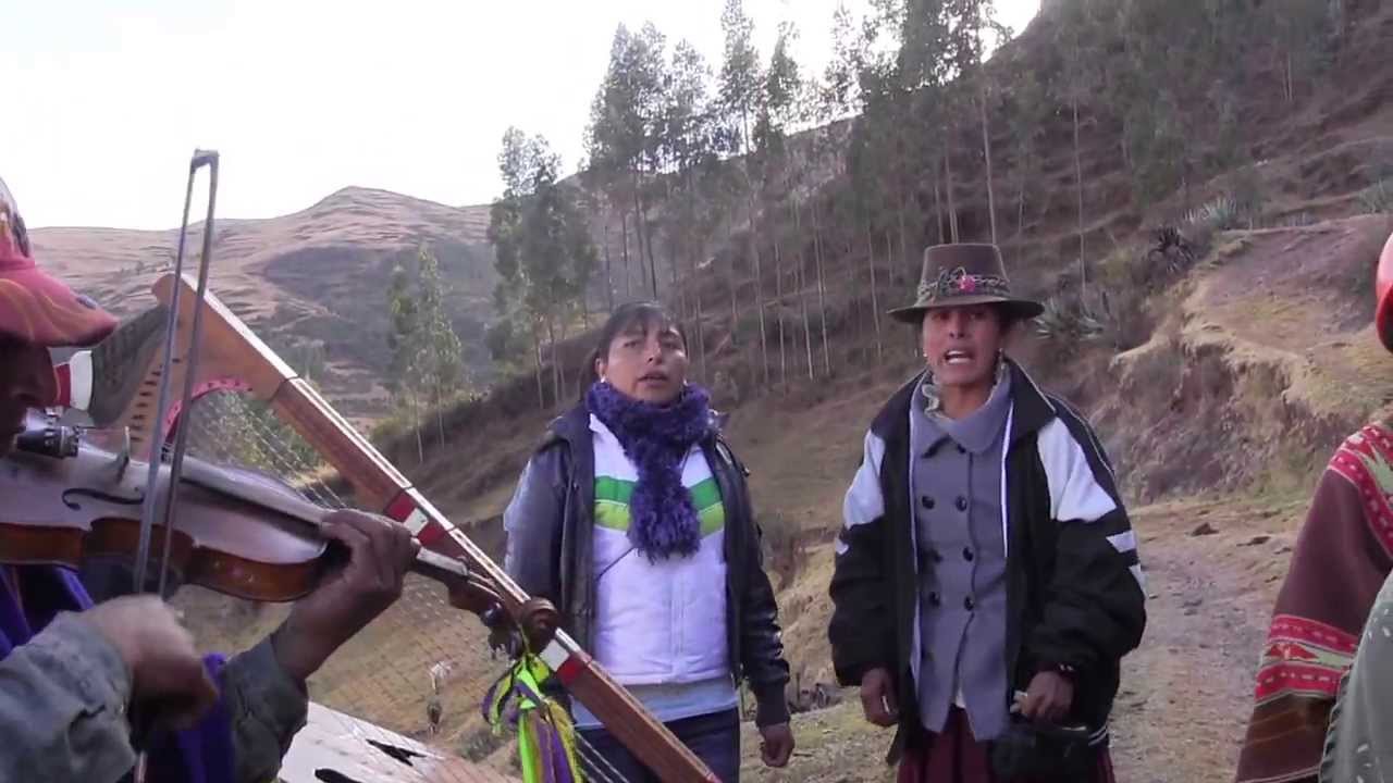 Purito Pampallacta