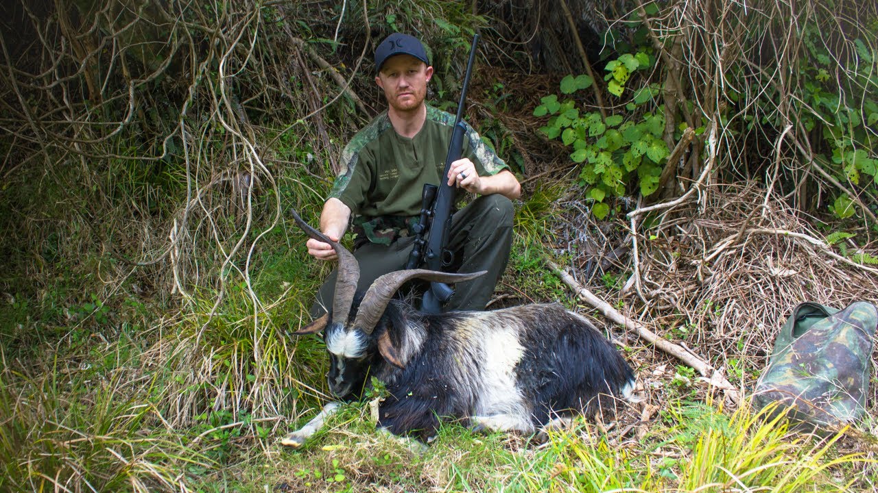 Rifle Review | Sauer S 101 Classic XT .308 Winchester