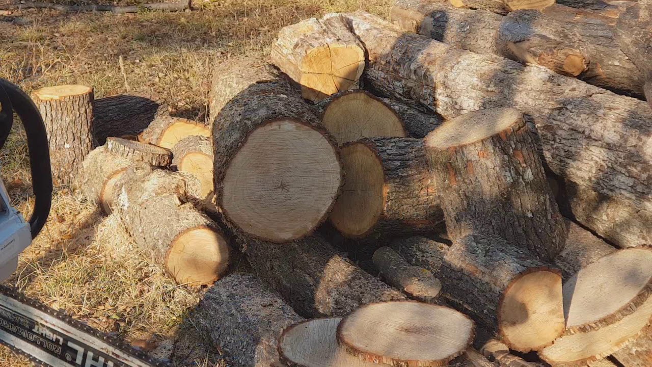 Stihl Ms661 vs Husqvarna 395xp