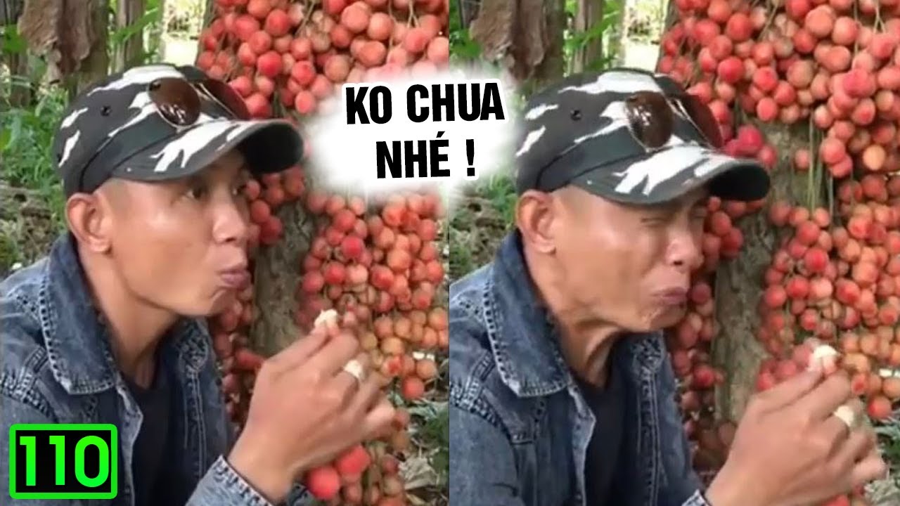 Hài Tin Viet 2021 Mới Nhất | Những Thằng Ngu Nhất Hành Tinh Cười Vỡ Bụng ( P110)✔