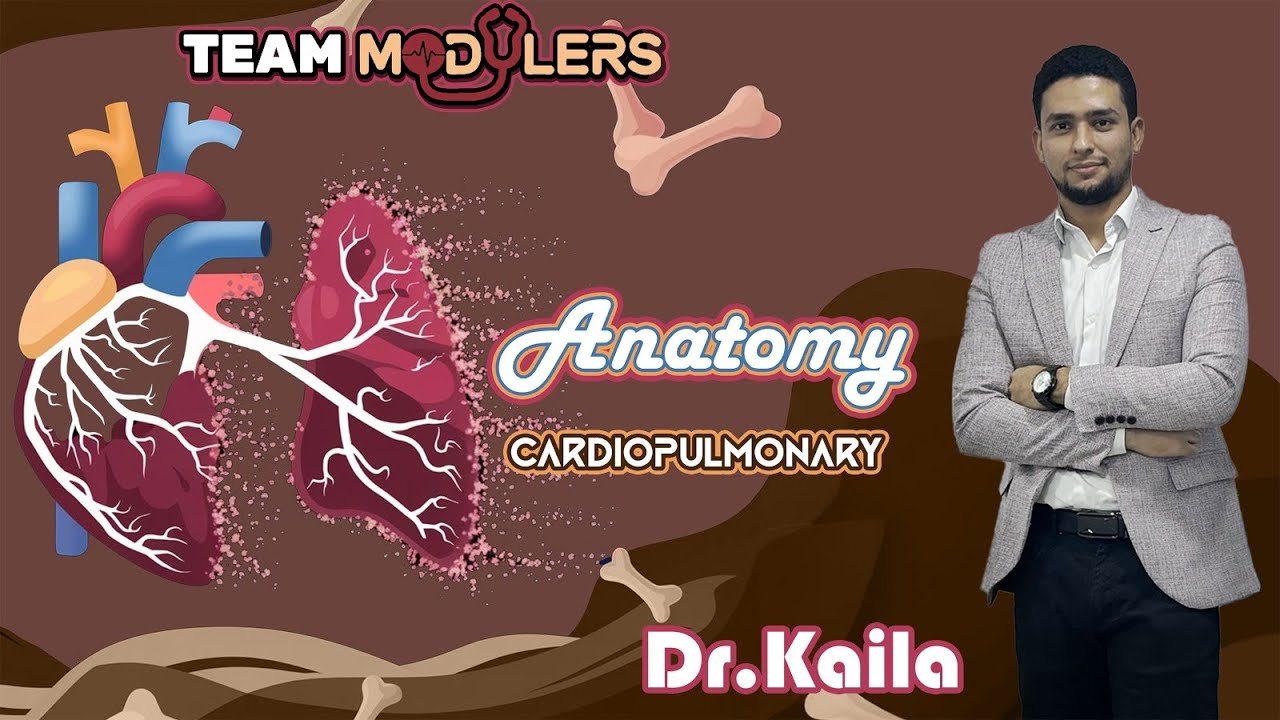Lung Anatomy part 2