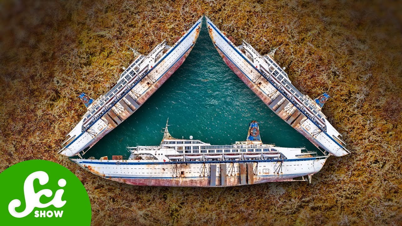 Are We Making More Bermuda Triangles?