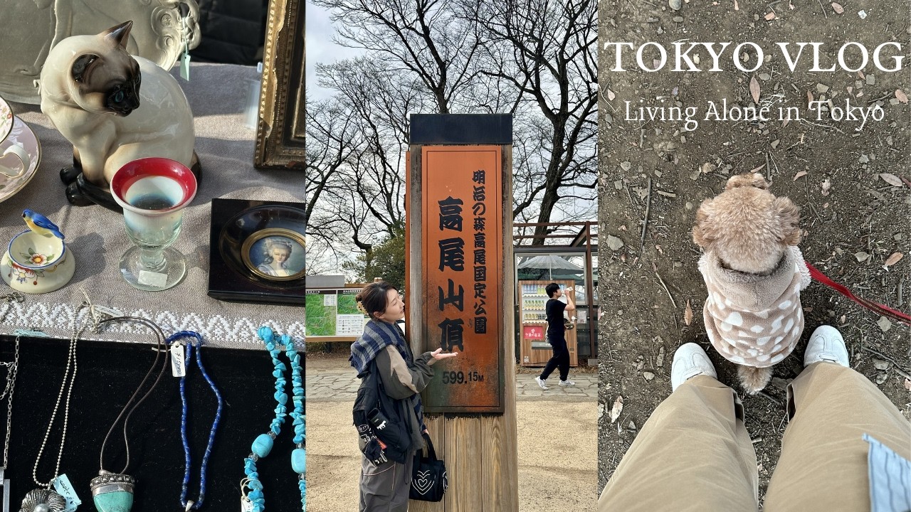 [TOKYO VLOG] 도쿄 놀러온 혈육과 함께하는 도쿄 이곳 저곳 1탄 | Living alone in Tokyo