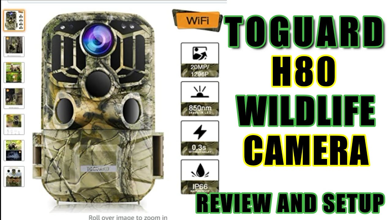 TOGUARD H80 WILDLIFE TRAIL CAMERA WITH WIFI REVIEW AND SETUP