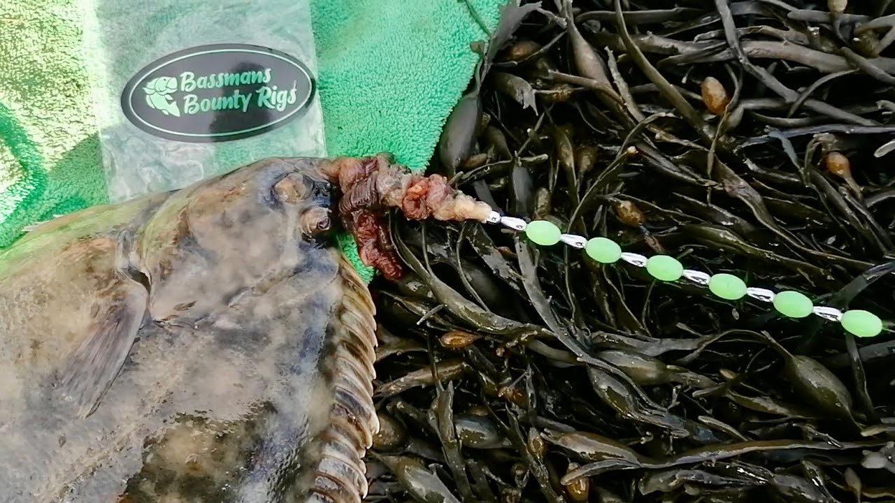 FLATFISH BLING RIG 💎💎💎