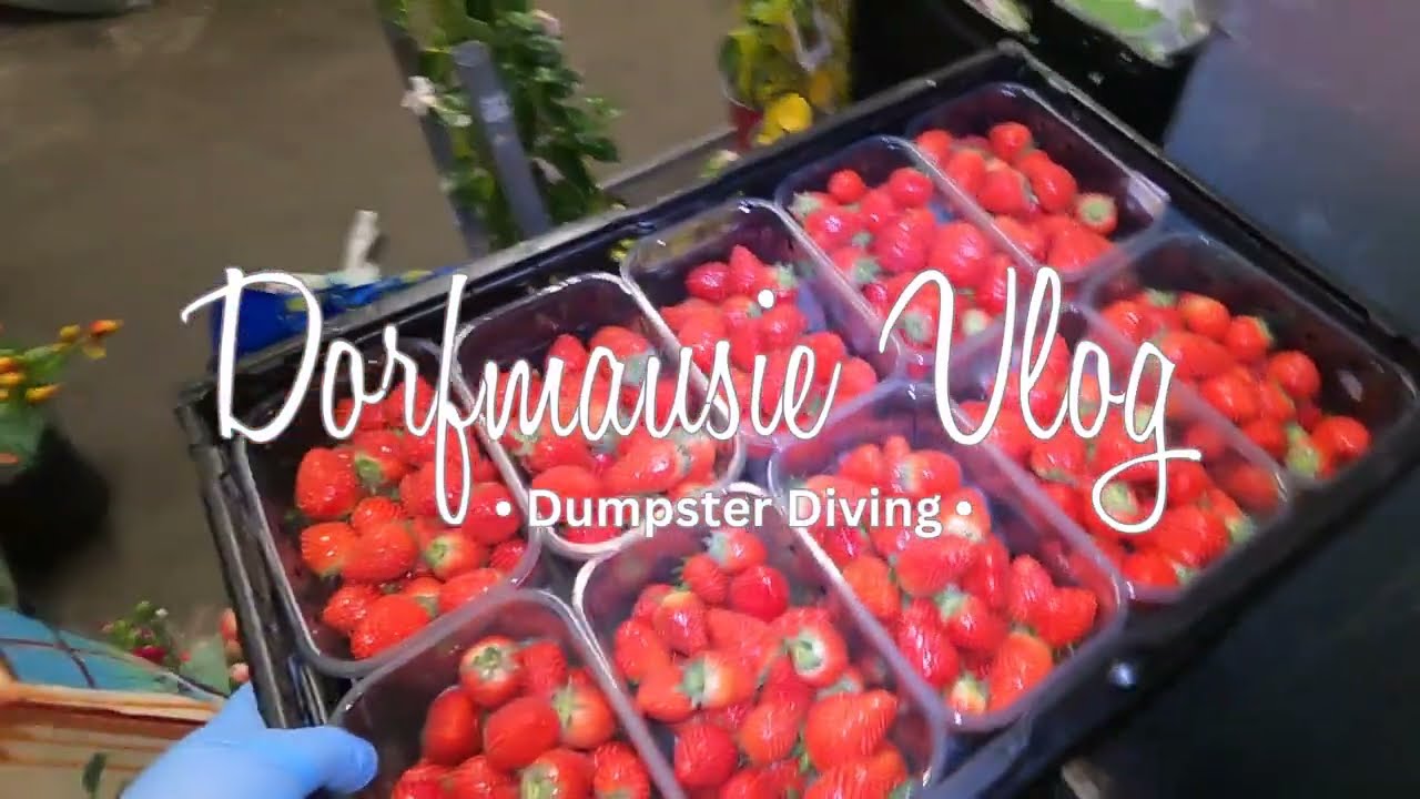 Dumpster Diving (Germany) : PREVIEW FOR TOMORROW. NEW ITEMS, STRAWBERRIES AND FLOWERS