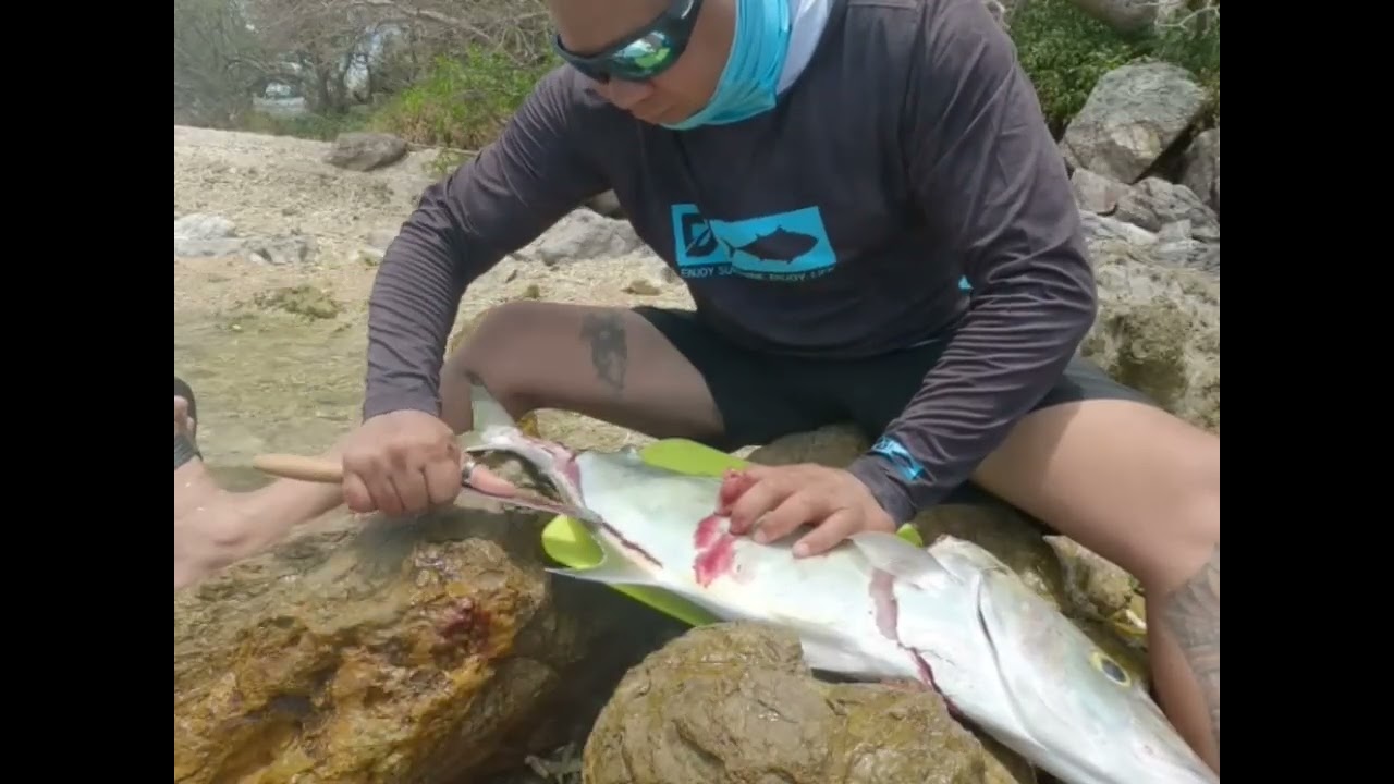Ma première grosse carangue