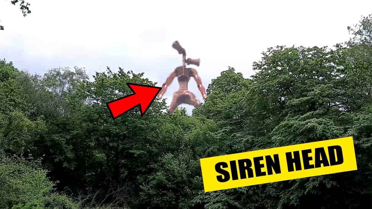 NE JAMAIS ALLEZ DANS LA FORET DE SIREN HEAD ! (ça tourne mal)