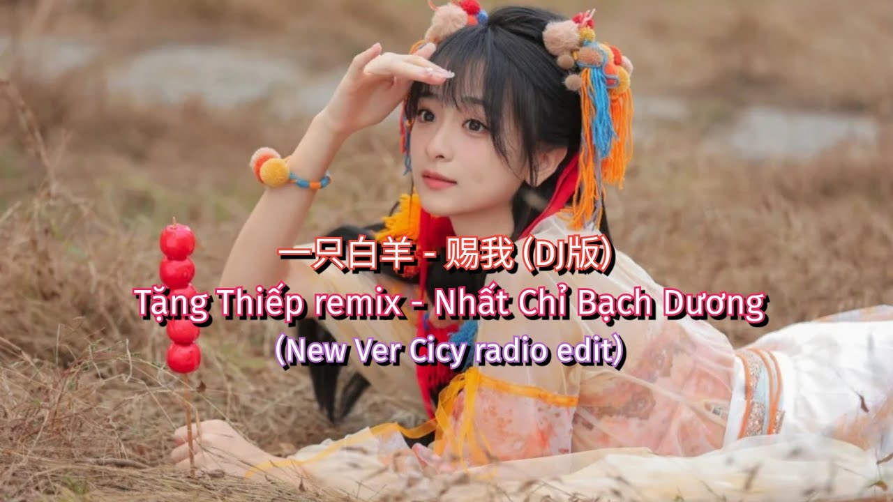 一只白羊 - 赐我 (DJ版) | Tặng Thiếp remix - Nhất Chỉ Bạch Dương (New ver Cicy radio edit)