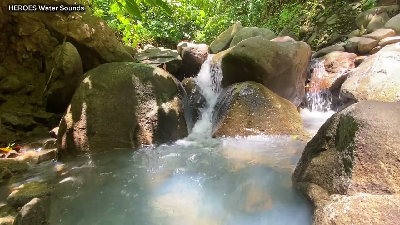 Forest Waterfall Sounds | Pure Nature Ambience