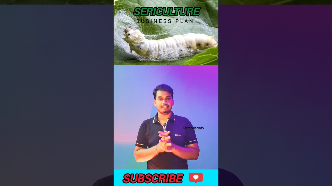 பட்டுப்புலு வளர்ப்பு | 🐛| how to start Sericulture farming  