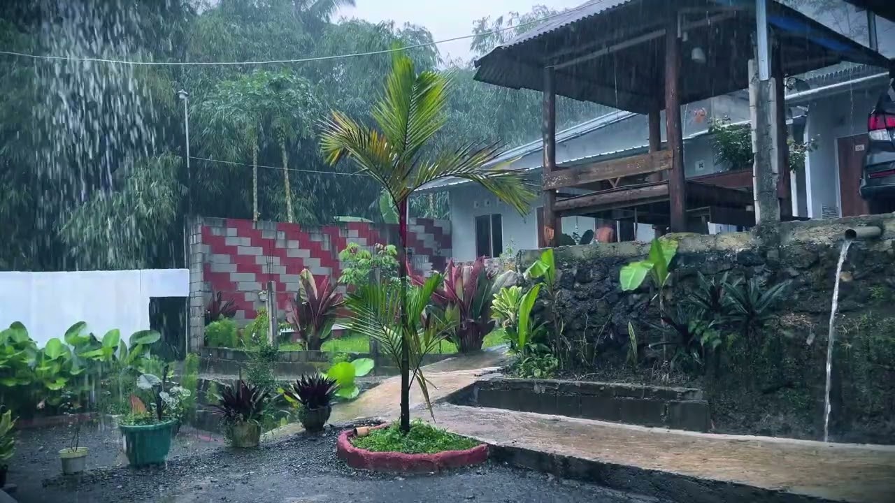 Heavy Rain Sounds for Sleeping | Fall Asleep in Minutes