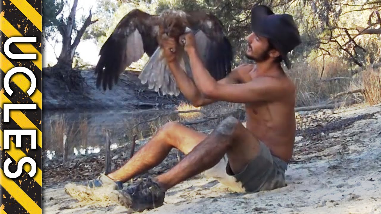 How To Catch A Hawk