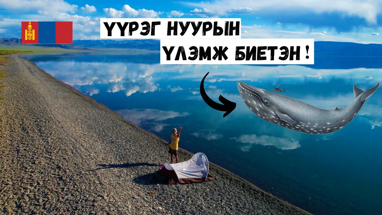 Үүрэг нуурын үлэмж биет амьтан 