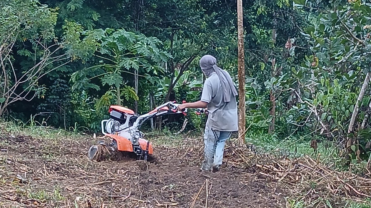 LIMPEZA ARRETADA PRO MILHARAL GURI