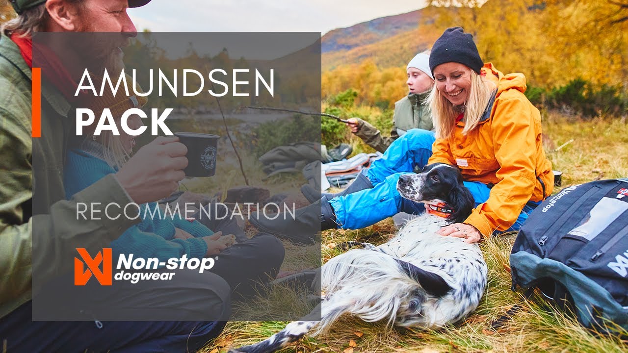Amundsen pack - Dog backpack