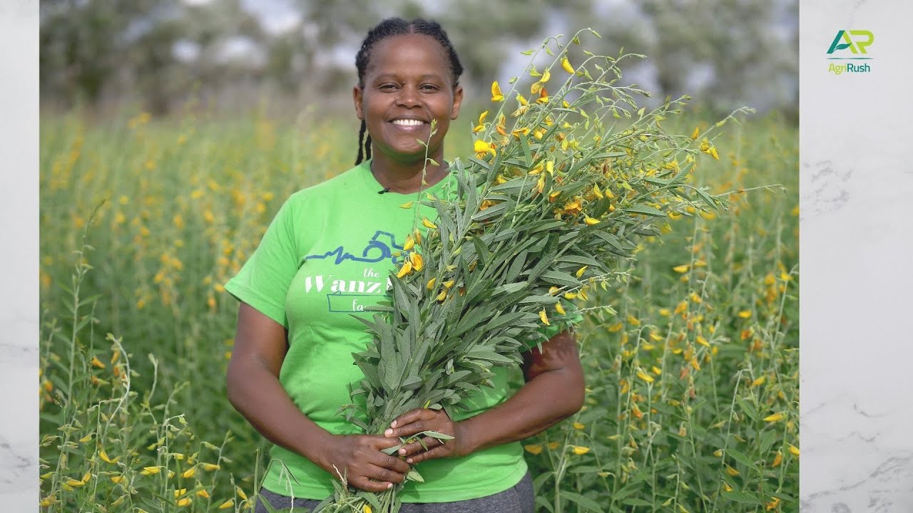Do you ever think of checking& Taking care  of your soil's fertility, for it to optimally produce?