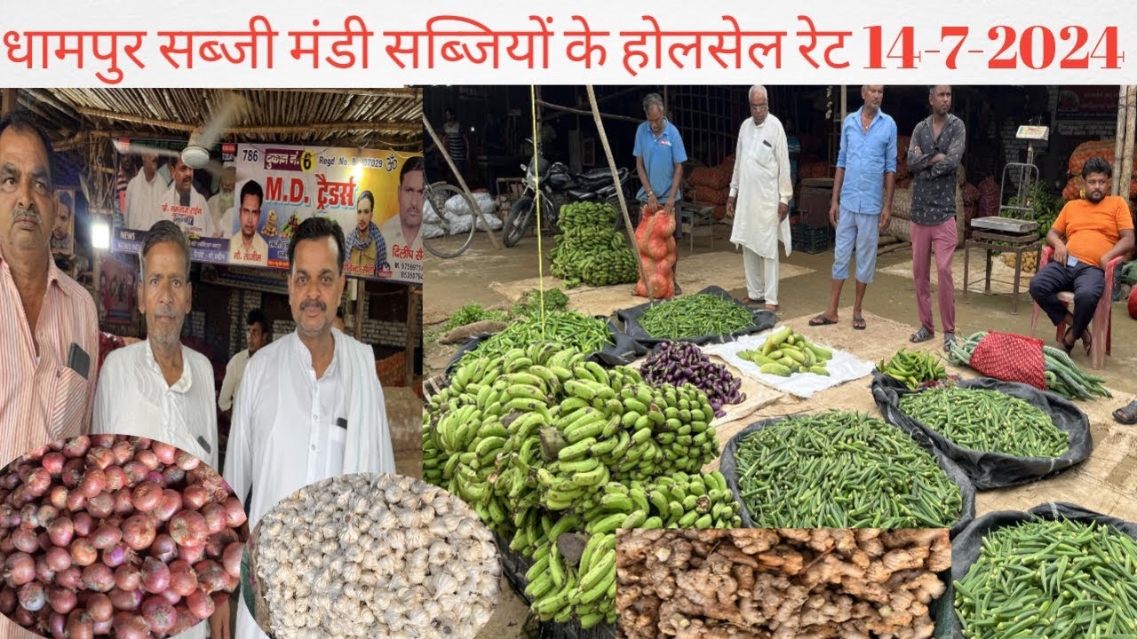 धामपुर फल ब सब्जी मंडी आज के सब्जियों के होलसेल रेट | Dhampur sabji mandi sabjiyon ki latest update
