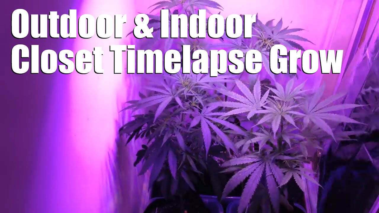 Closet Grow Setup & Indoor/Outdoor Timelapse Grow