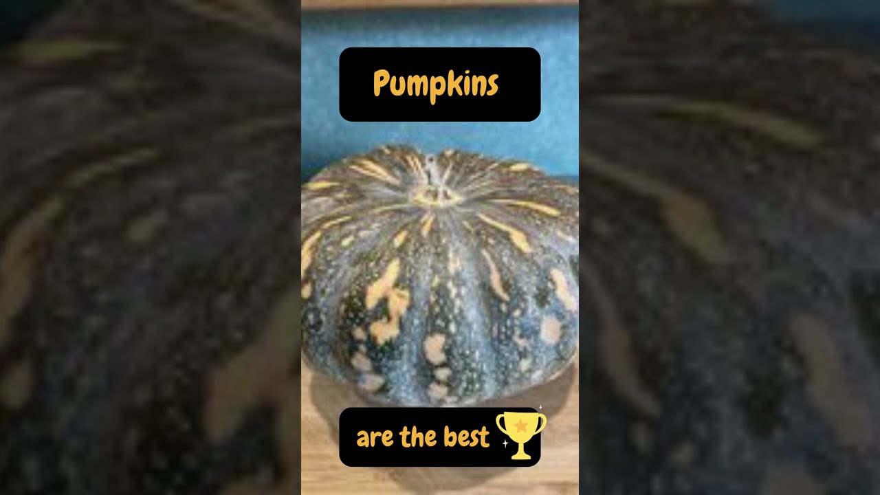 Pumpkins - Easy to Grow and Easy to Store #shorts