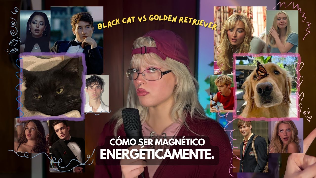 c&oacute;mo dejar de perseguir y empezar a atraer (black cat vs golden retriever energy)