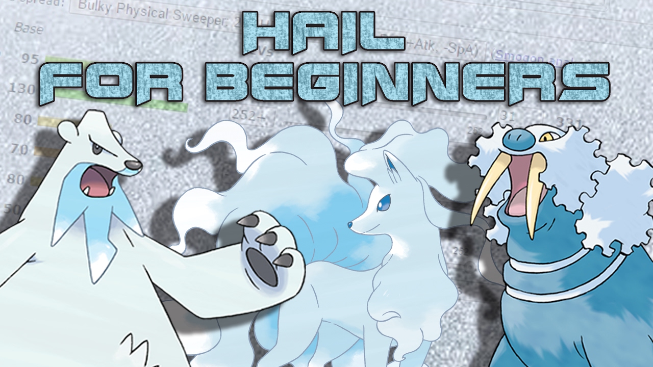 Hail Guide for Beginners!