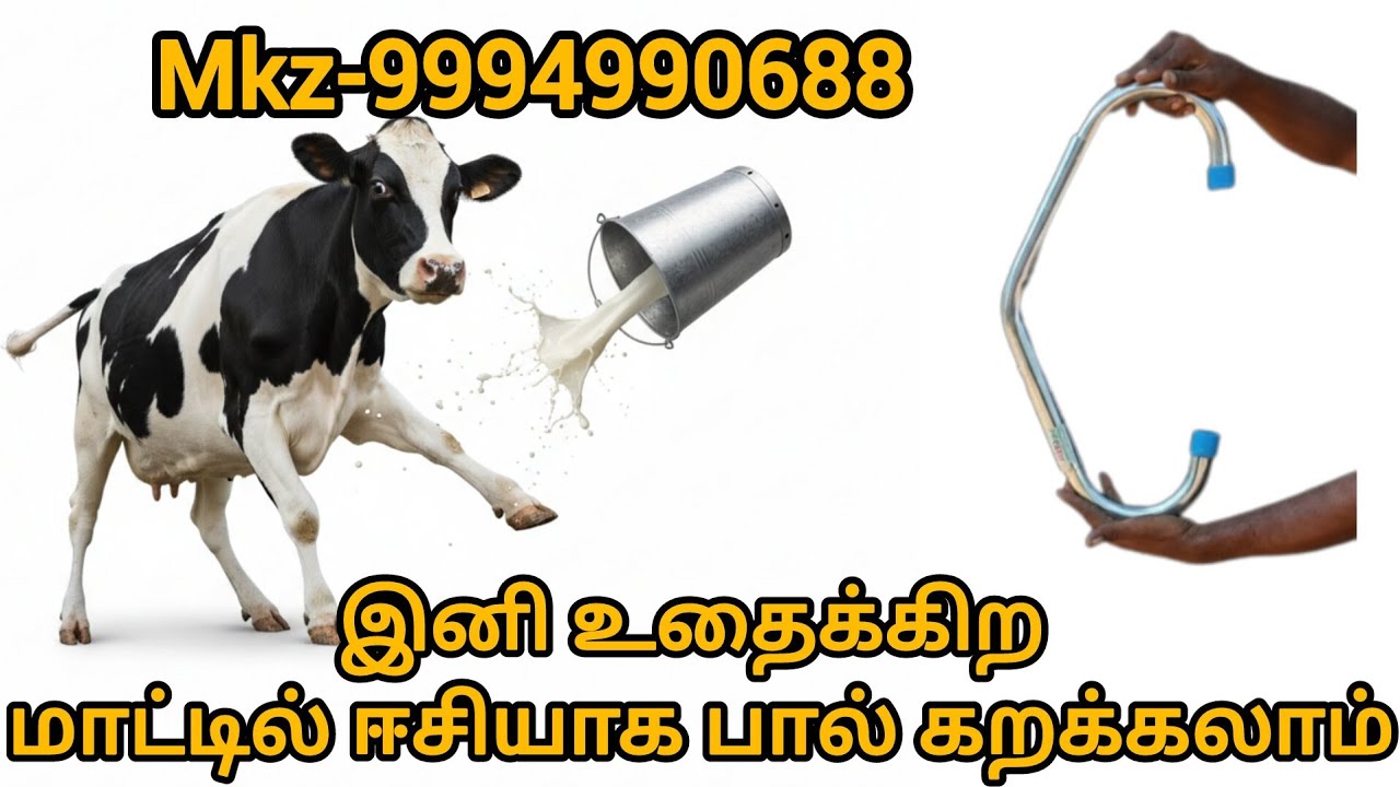 உதைக்கிற மாட்டில் எளிதாக பால் கறக்கலாம் வாங்க anti kick bar 9994990688