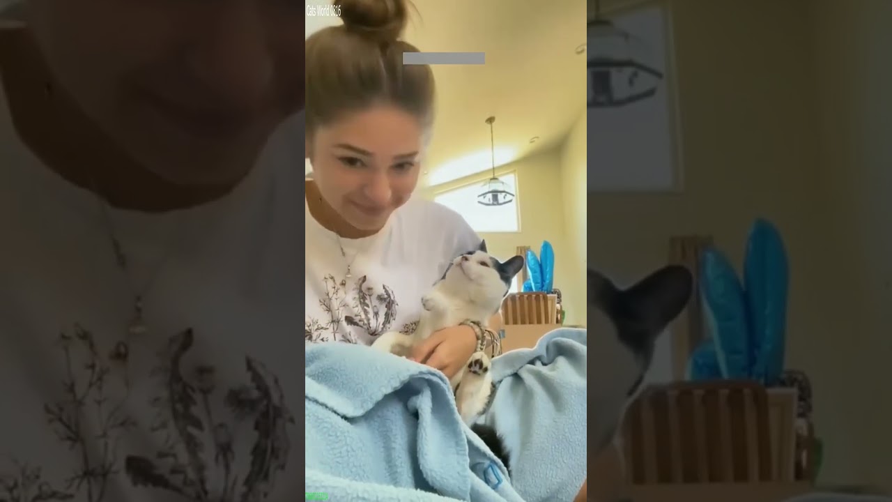 Funny Pets 😻 #trending 😾 # Part 7018
