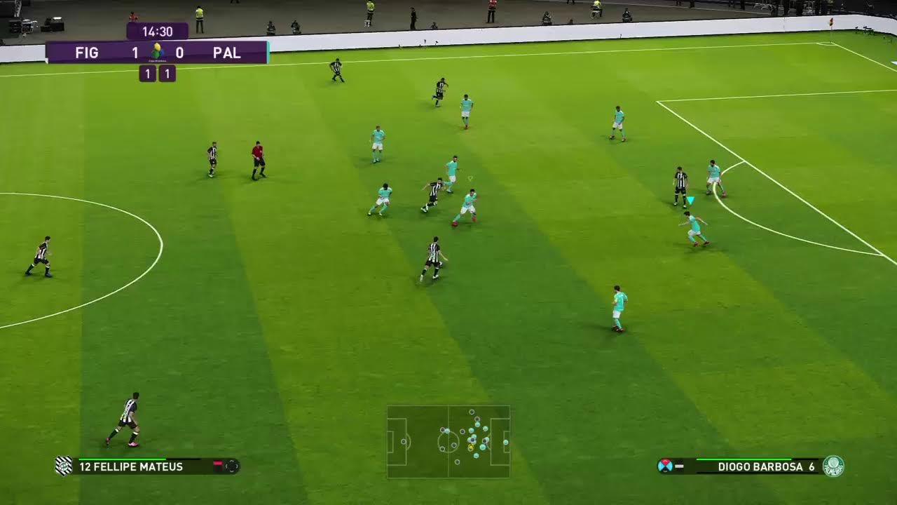 Master Liga Palmeiras