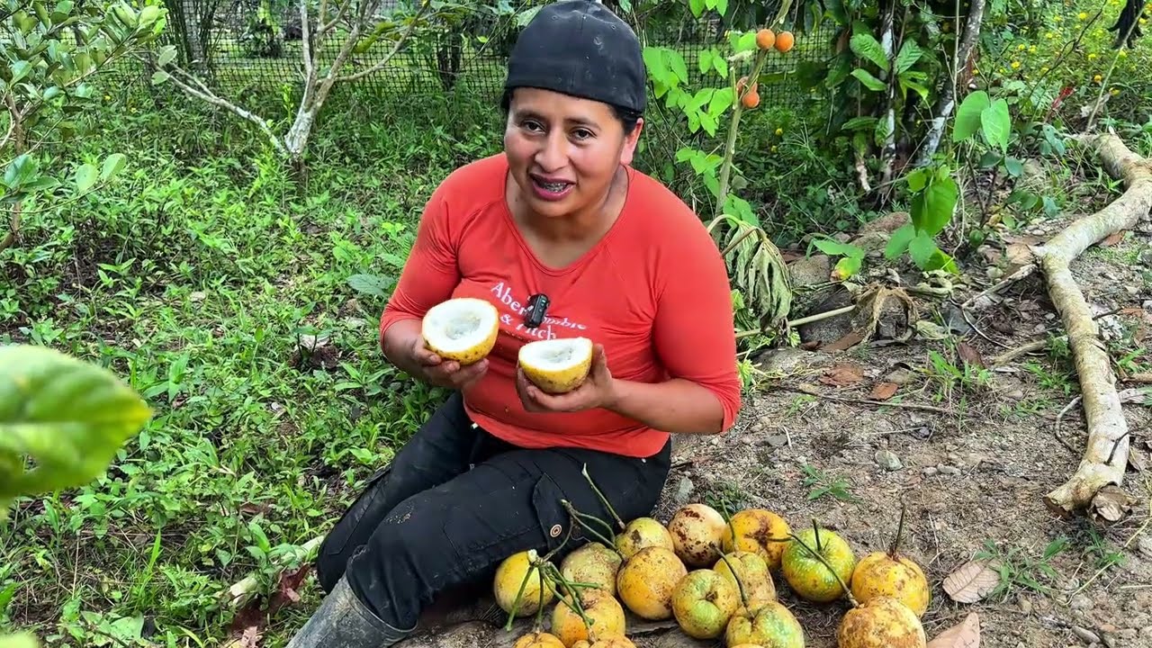 Mira como son las GRANADILLAS de la Amazonia | Doña Viky