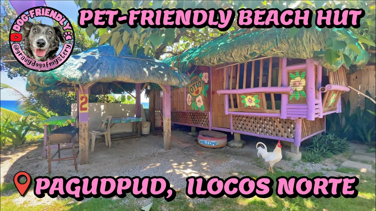 Pet Friendly & Budget Accommodation 🛖 Pagudpud, Ilocos Norte 🇵🇭 Classique Homestay & Cottages