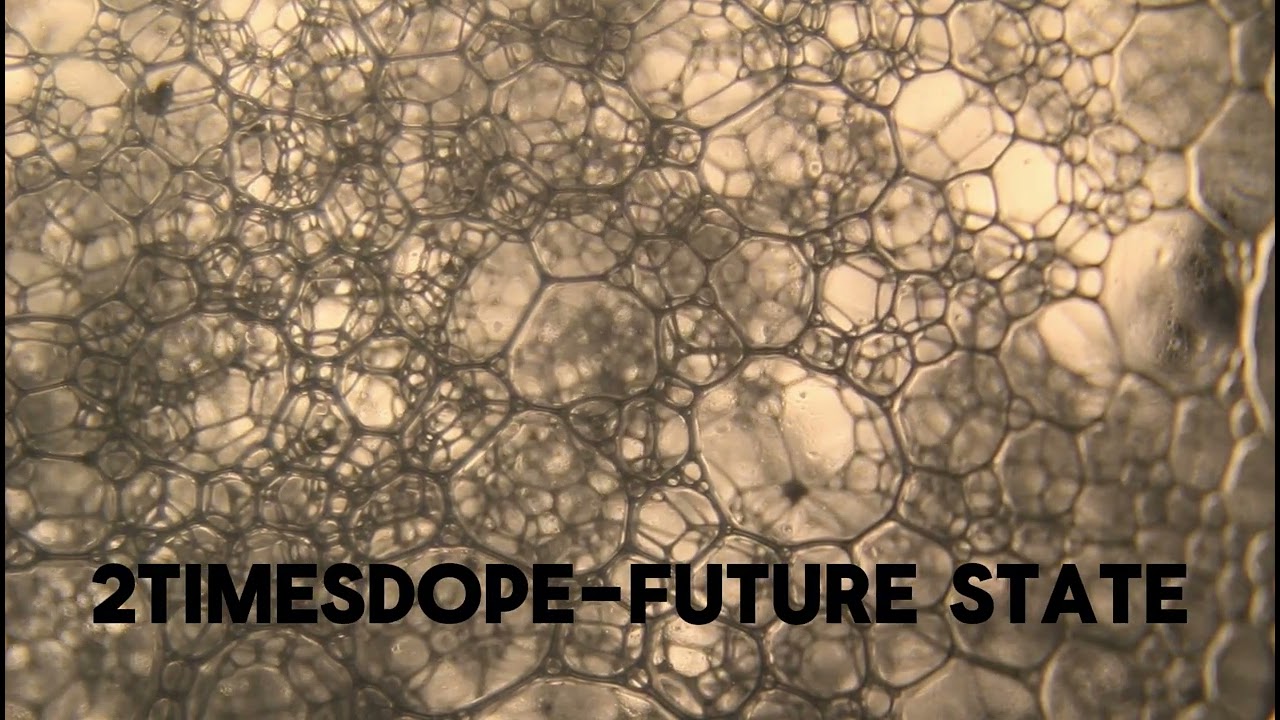 2timesdope-future state