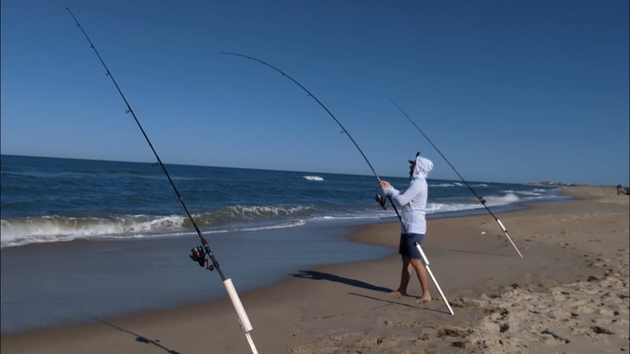 Fighting Giants At Ramp 43 Cape Hatteras Outer Banks Using Cut Mullet For Bait