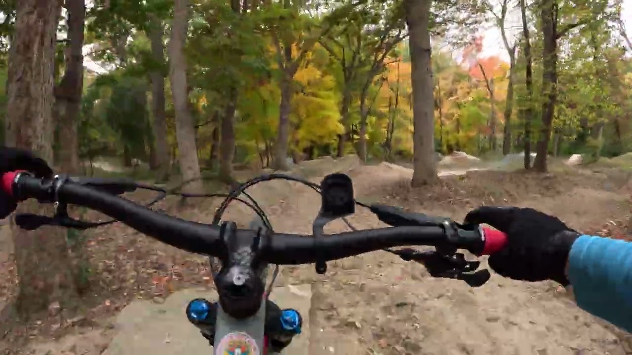 Andres - Main line transfer to Blue line