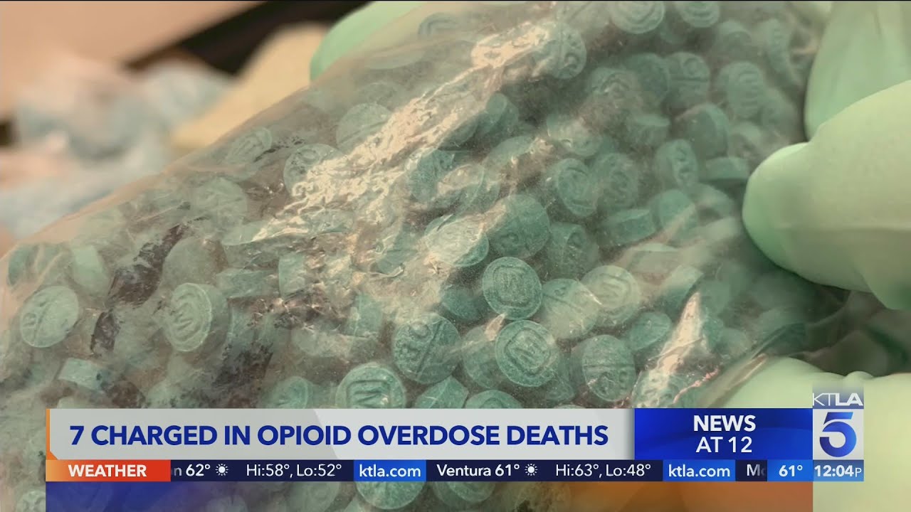 7 charged in opioid overdose deaths