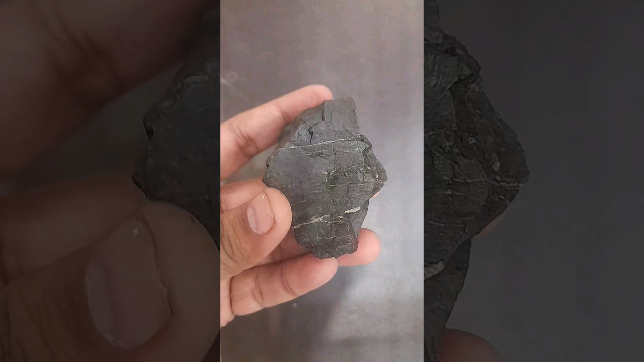 Natural Bituminous Coal 🖤 💯 #shorts